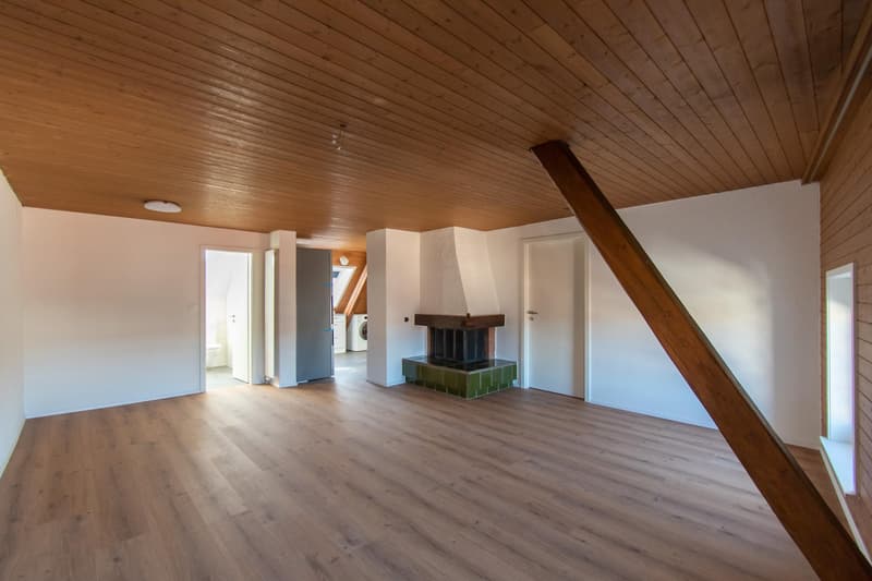 Appartement-maisonnette exceptionnel de 4 pièces en ville (4)