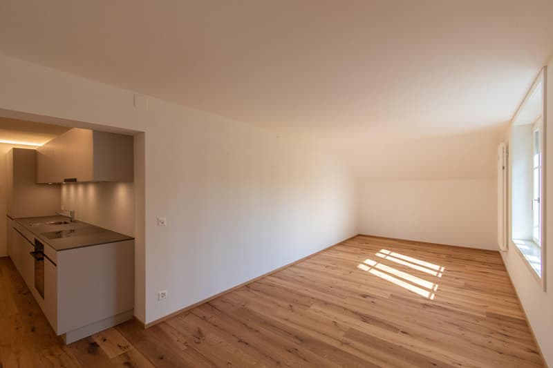 Moderne 2.5 Zimmer-Wohnung mit Altbaucharme (3)