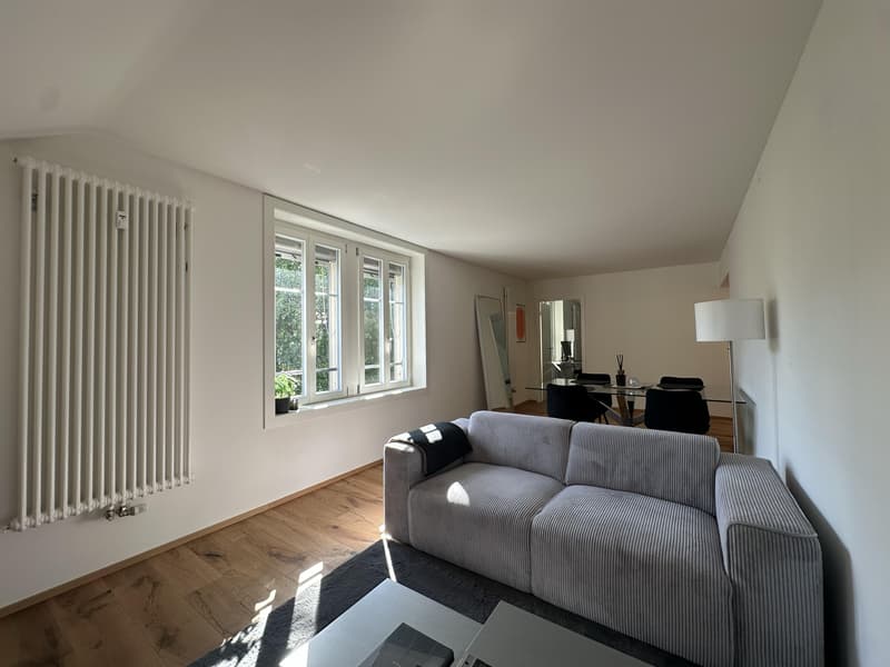 Appartement moderne 2.5 pièces avec charme d'ancien bâtiment (1)