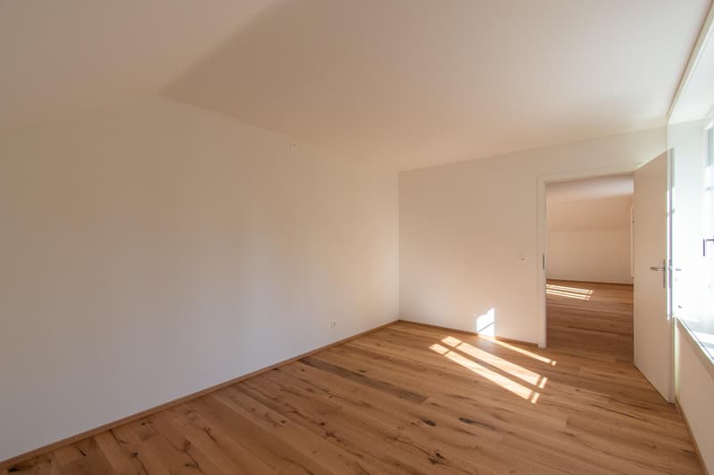 Moderne 2.5 Zimmer-Wohnung mit Altbaucharme (10)