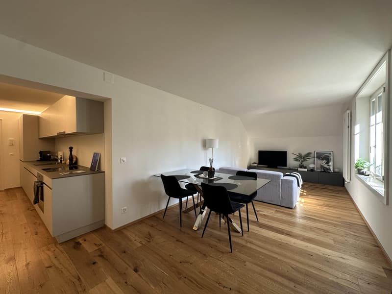 Appartement moderne 2.5 pièces avec charme d'ancien bâtiment (4)