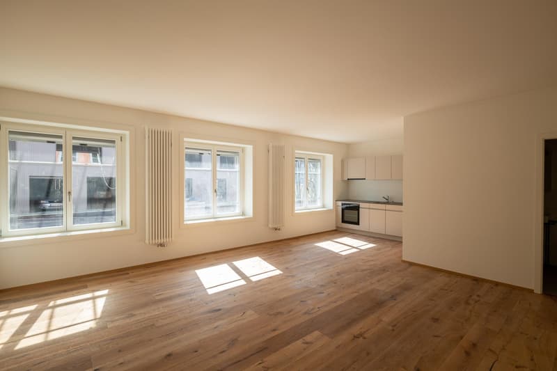 Appartamento monolocale moderno con charme di edificio storico (1)
