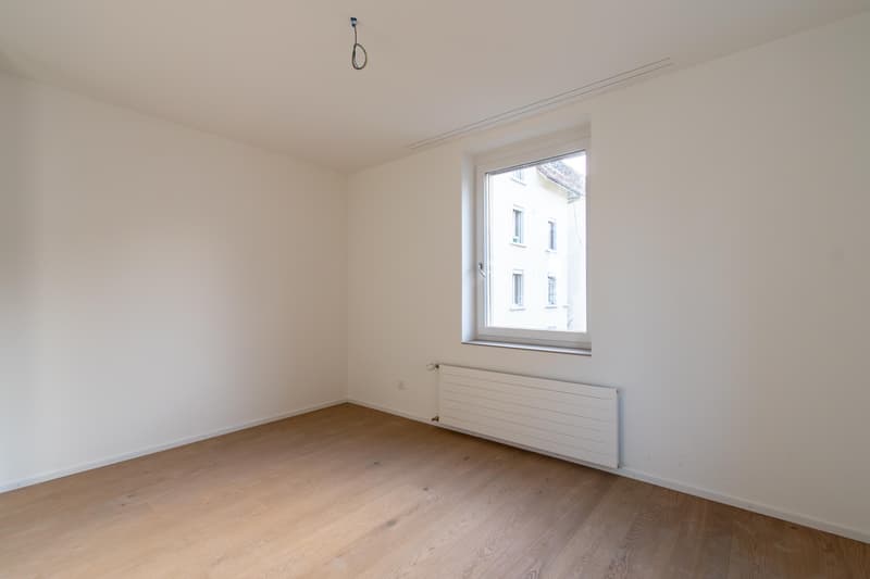 Spacious, freshly renovated 2.5-room apartment with balcony (9)
