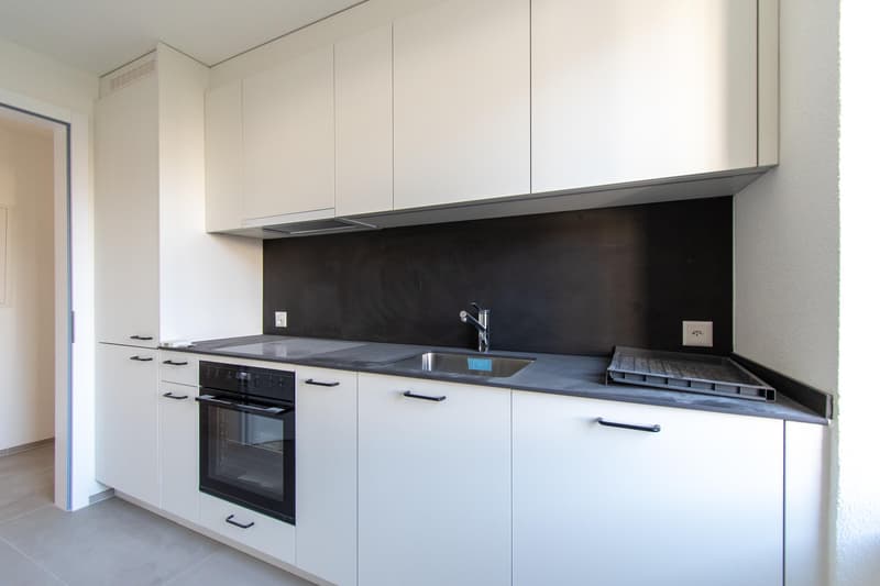 Spacious, freshly renovated 2.5-room apartment with balcony (5)