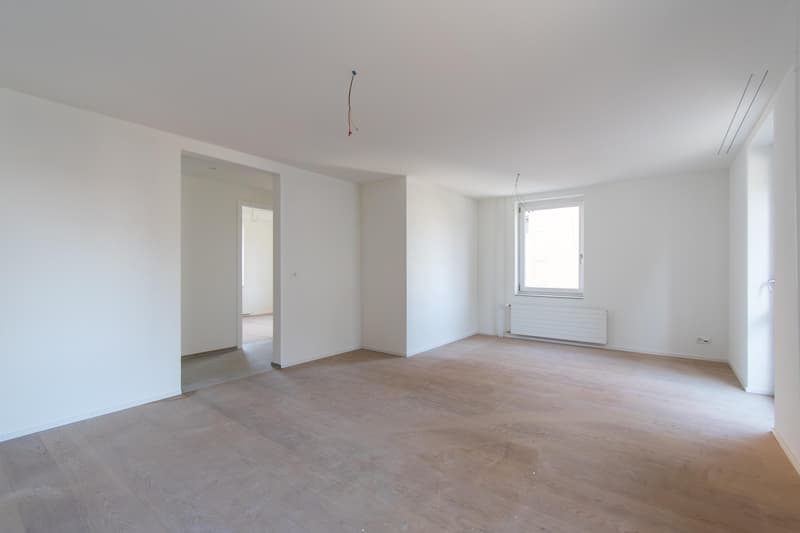 Spacious, freshly renovated 2.5-room apartment with balcony (3)