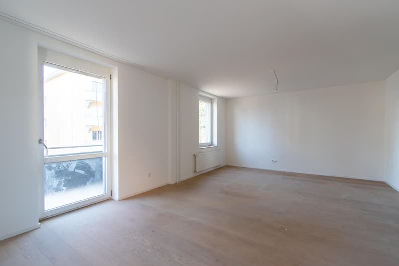 Spacious, freshly renovated 2.5-room apartment with balcony (2)