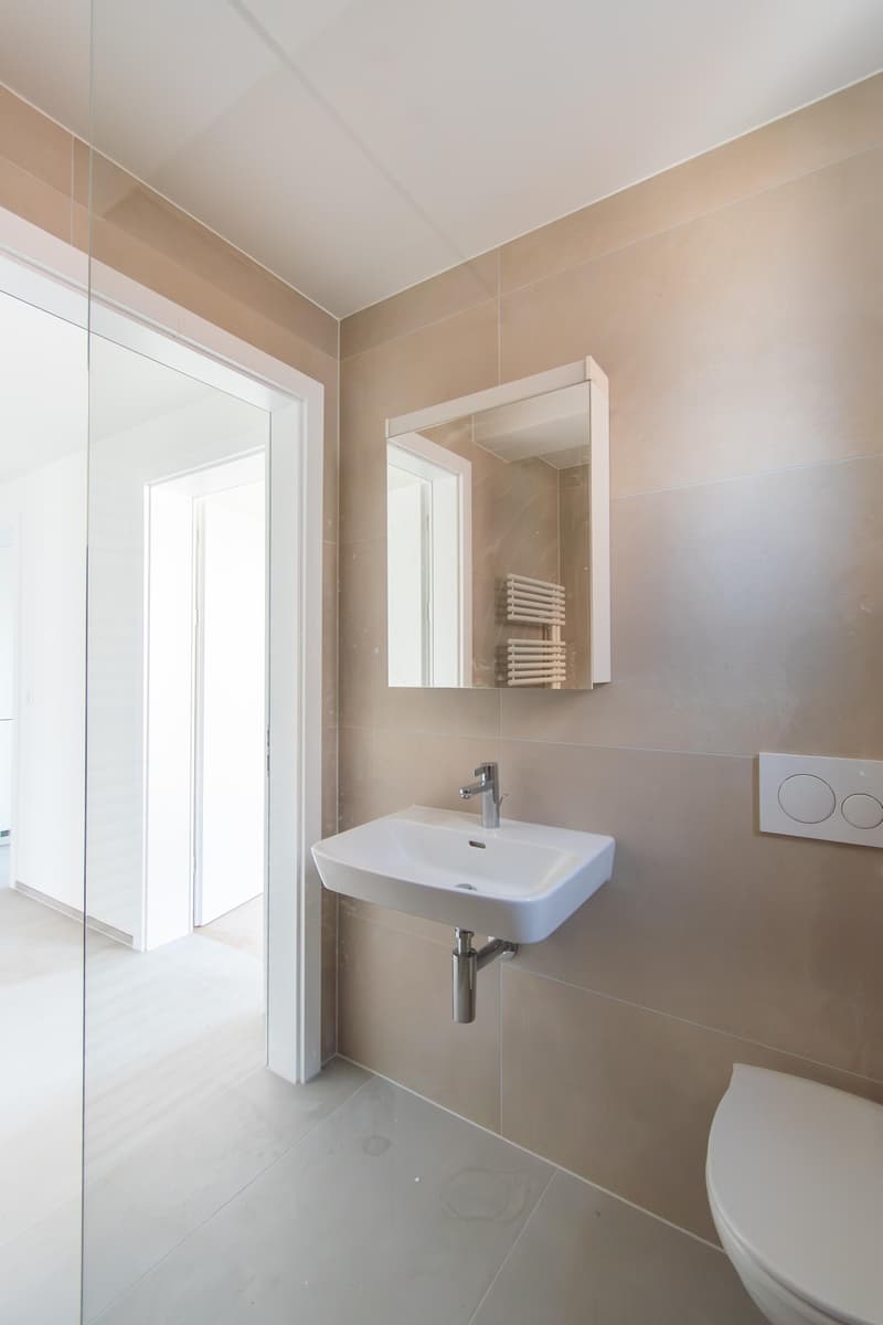 Spacious, freshly renovated 2.5-room apartment with balcony (7)