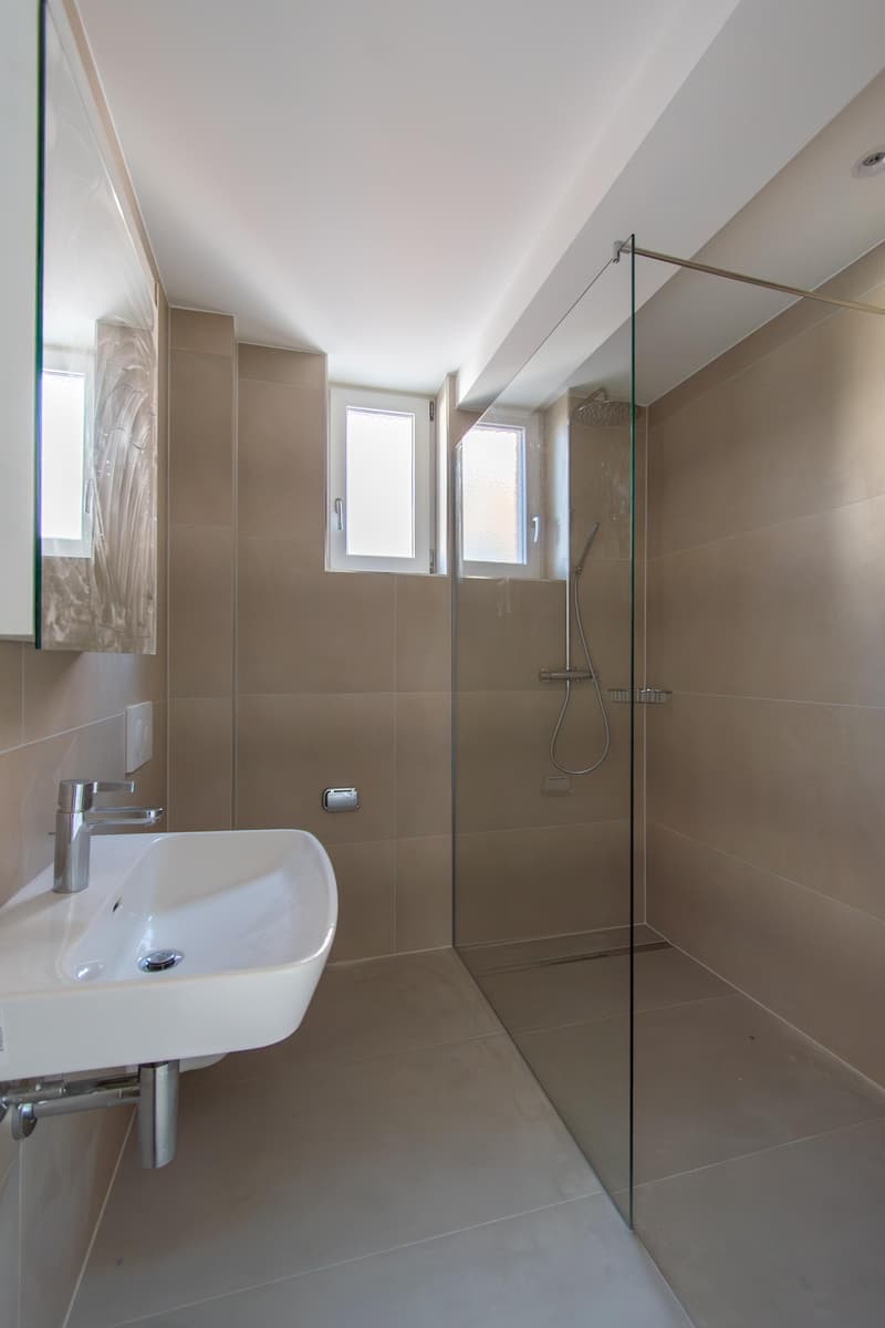 Spacious, freshly renovated 2.5-room apartment with balcony (6)