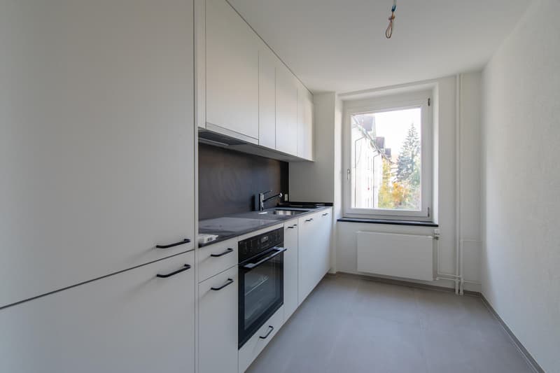 Spacious, freshly renovated 2.5-room apartment with balcony (4)