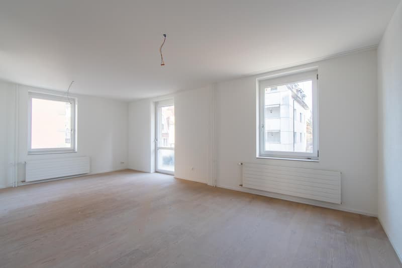 Spacious, freshly renovated 2.5-room apartment with balcony (1)