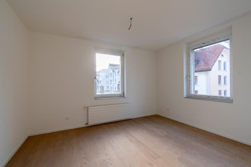 Spacious, freshly renovated 2.5-room apartment with balcony (8)