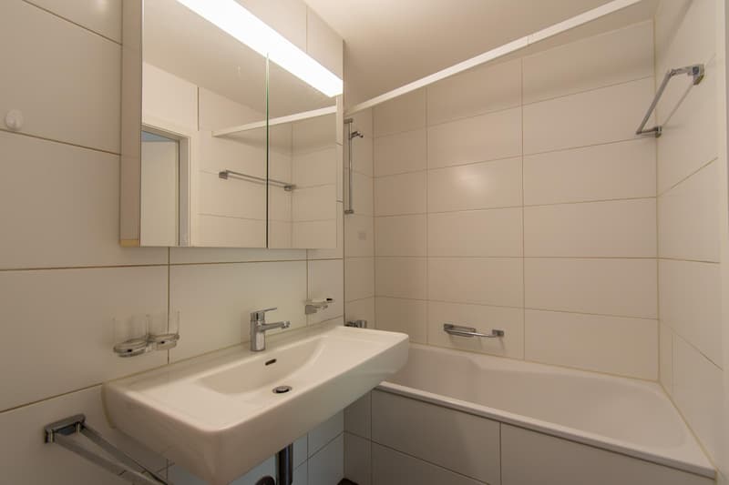 Bright 4.5 room apartment with balcony (6)