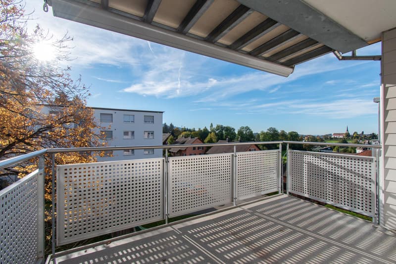 Bright 4.5 room apartment with balcony (2)