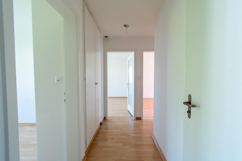 Bright 4.5 room apartment with balcony (7)