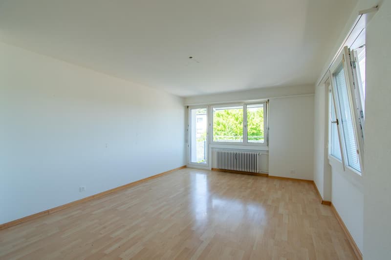 Bright 4.5 room apartment with balcony (3)
