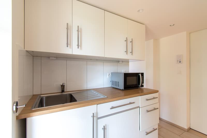 Appartement meublé de 1,5 pièces avec terrasse dans un emplacement préféré (8)