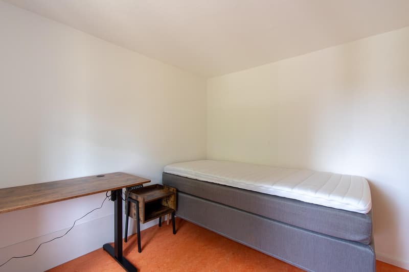 Appartement meublé de 1,5 pièces avec terrasse dans un emplacement préféré (5)