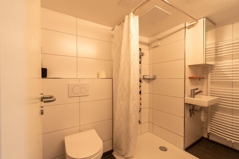 Appartement meublé de 1,5 pièces avec terrasse dans un emplacement préféré (10)