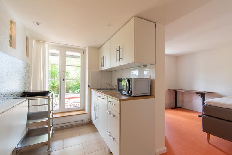 Appartement meublé de 1,5 pièces avec terrasse dans un emplacement préféré (1)