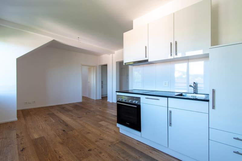 Appartement mansardé de 2,5 pièces accueillant (3)