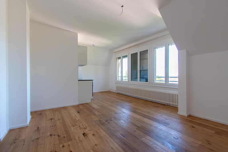 Appartement mansardé de 2,5 pièces accueillant (4)