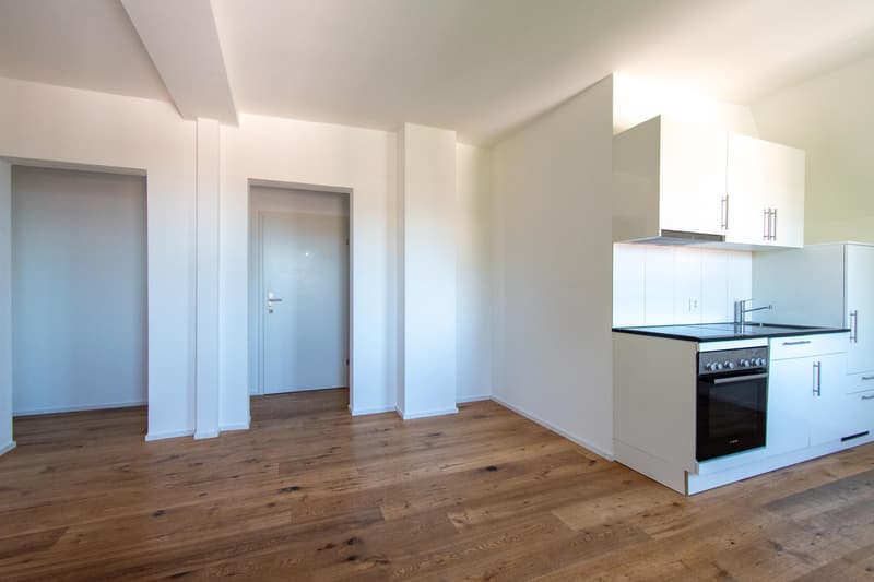 Appartement mansardé de 2,5 pièces accueillant (6)