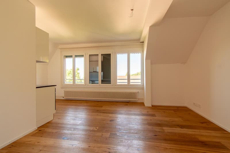 Appartement mansardé de 2,5 pièces accueillant (5)