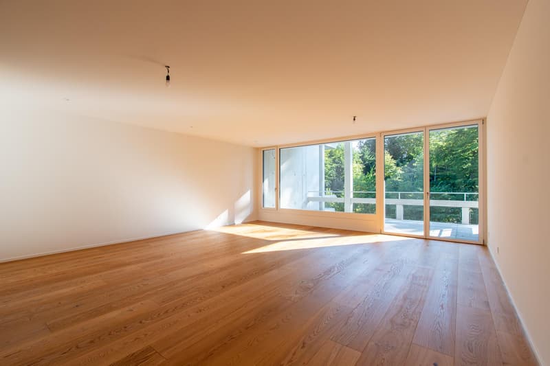 Erstvermietung exklusive 3.5 Zimmer-Wohnung am Rosenberg (3)