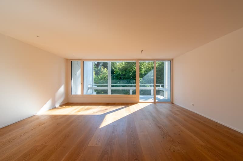 Erstvermietung exklusive 3.5 Zimmer-Wohnung am Rosenberg (2)