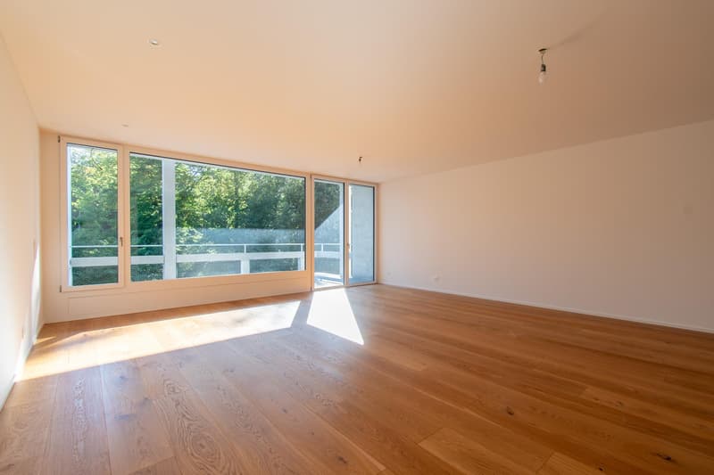 Erstvermietung exklusive 3.5 Zimmer-Wohnung am Rosenberg (1)