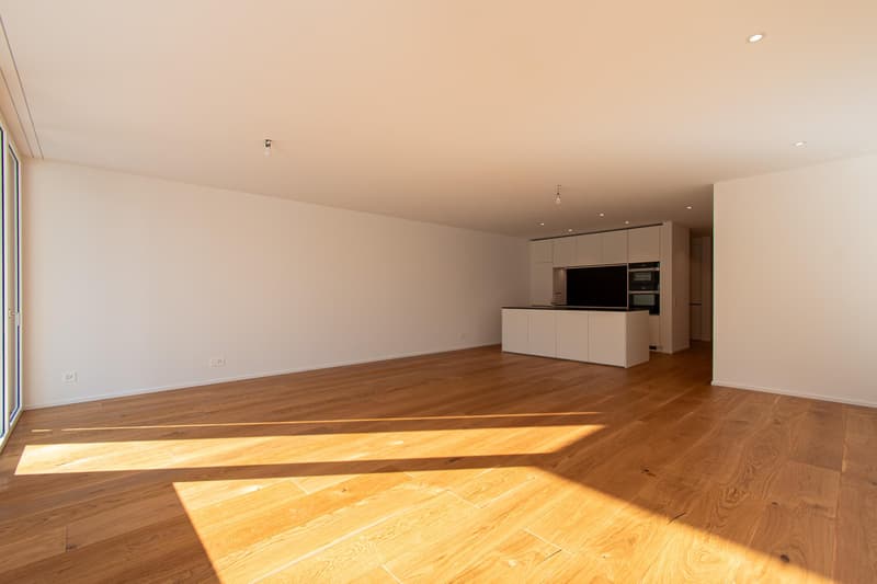 Erstvermietung exklusive 3.5 Zimmer-Wohnung am Rosenberg (6)