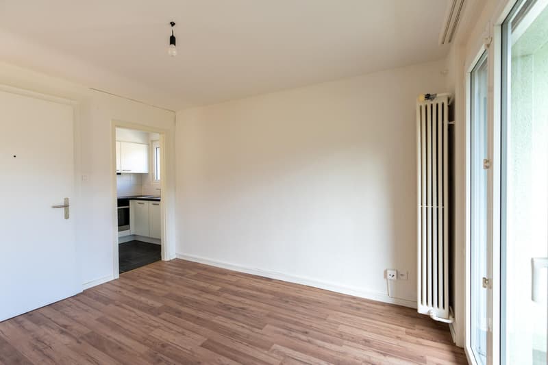 Rénové et lumineux 2.5 pièces avec balcon (7)