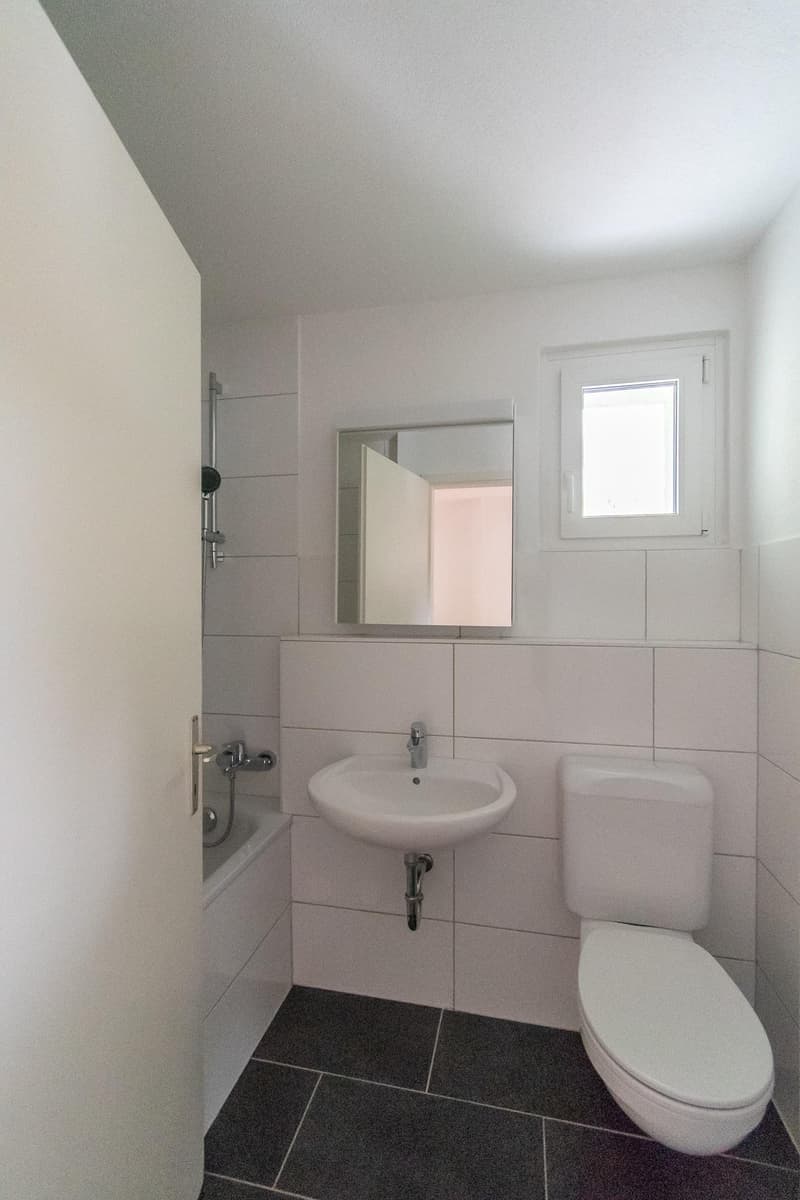 Appartement de 3.5 pièces avec balcon (6)