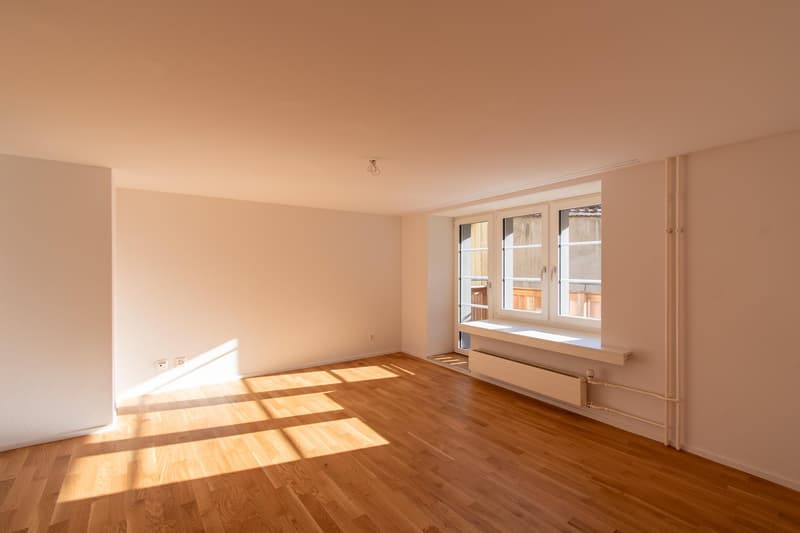 Helle 1.5 Zimmer-Wohnung mit Balkon in der Altstadt (2)