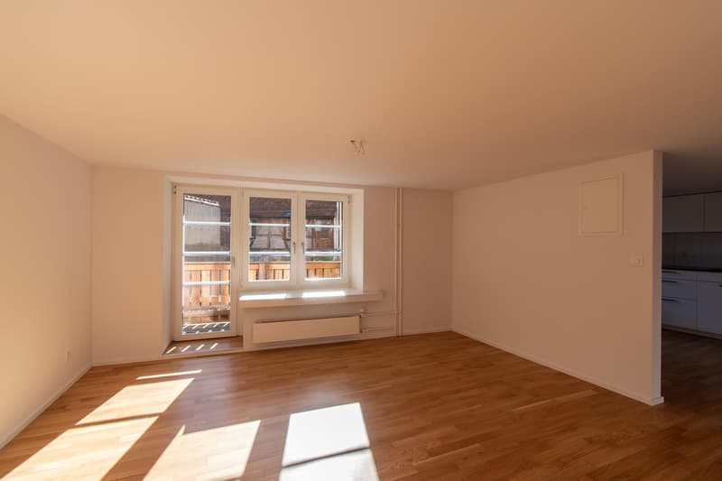 Helle 1.5 Zimmer-Wohnung mit Balkon in der Altstadt (3)