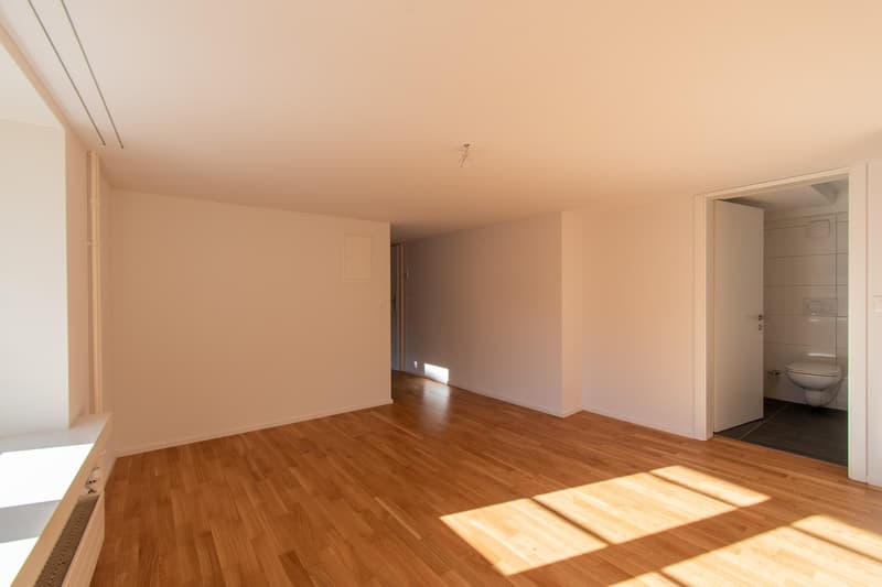 Helle 1.5 Zimmer-Wohnung mit Balkon in der Altstadt (11)