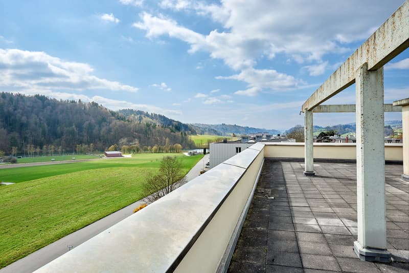 Spacious 6.5-room attic apartment with private rooftop terrace in Hinterkappelen (14)