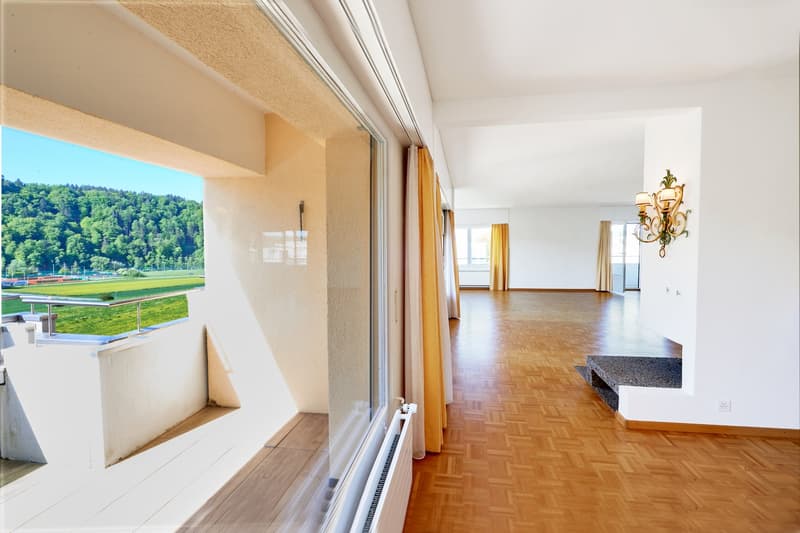 Ampio appartamento di 6.5 locali all'ultimo piano con terrazza privata sul tetto a Hinterkappelen (1)