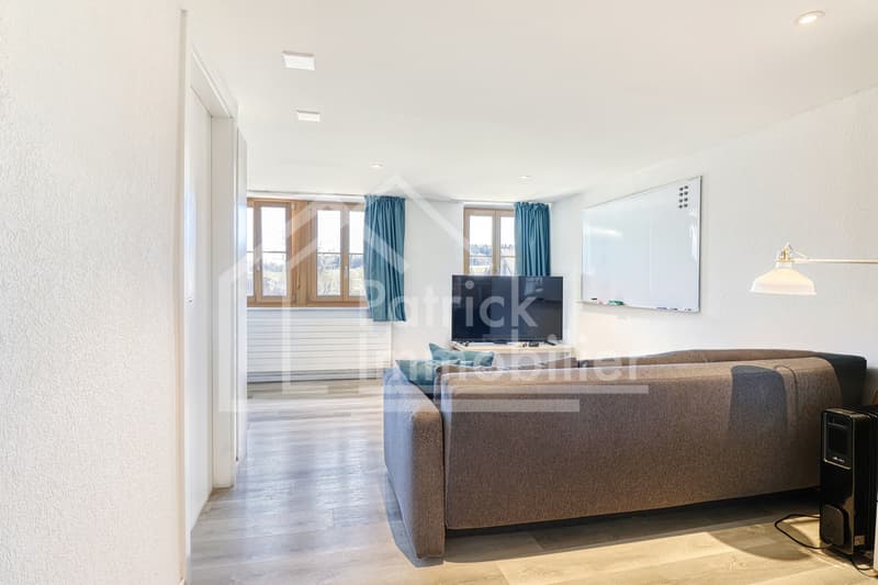 Farm in village area with renovated apartment and potential (5)