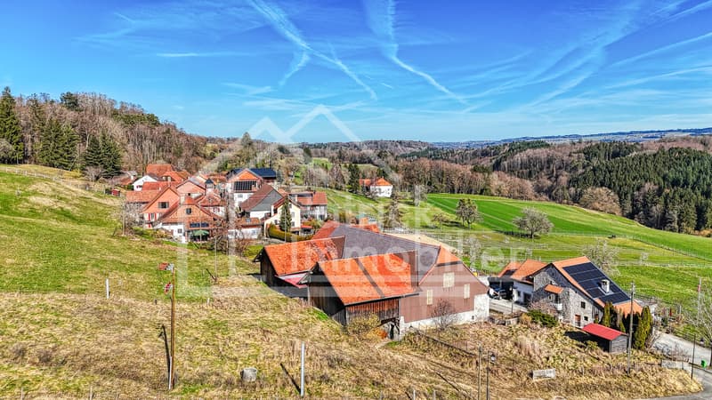 Farm in village area with renovated apartment and potential (13)