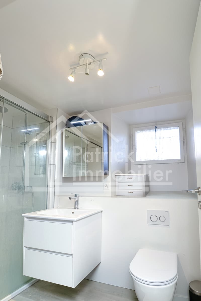 Farm in village area with renovated apartment and potential (7)