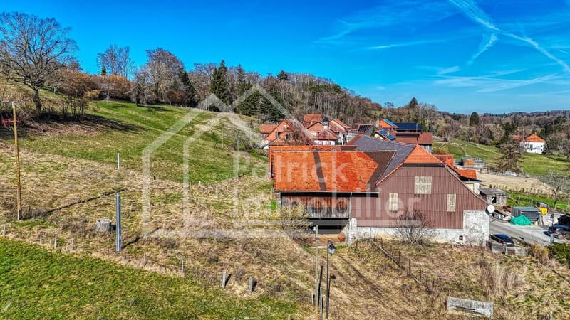 Farm in village area with renovated apartment and potential (2)
