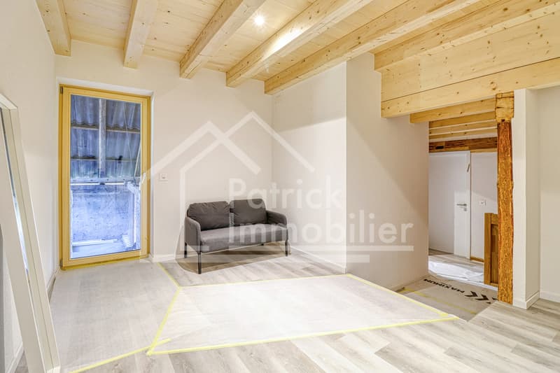 Farm in village area with renovated apartment and potential (10)