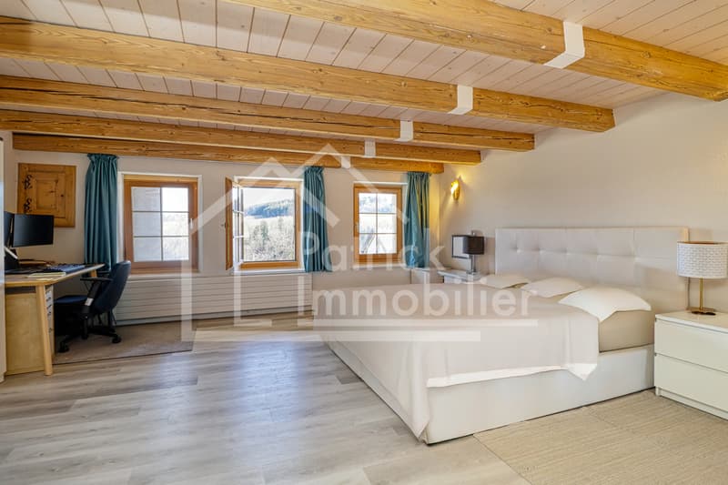 Farm in village area with renovated apartment and potential (8)