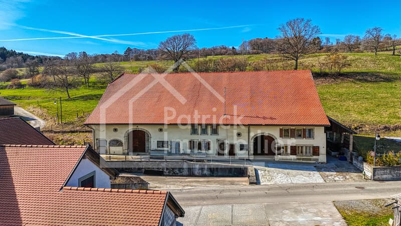 Farm in village area with renovated apartment and potential (12)