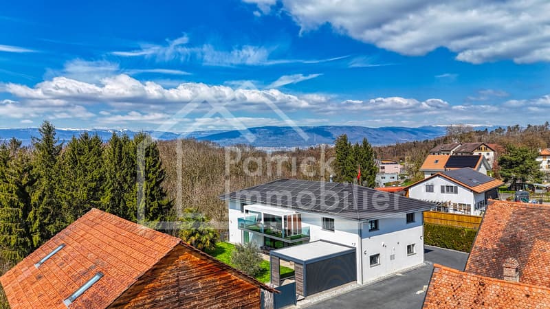 Villa contemporaine d'exception avec piscine et spa à deux pas du lac (4)