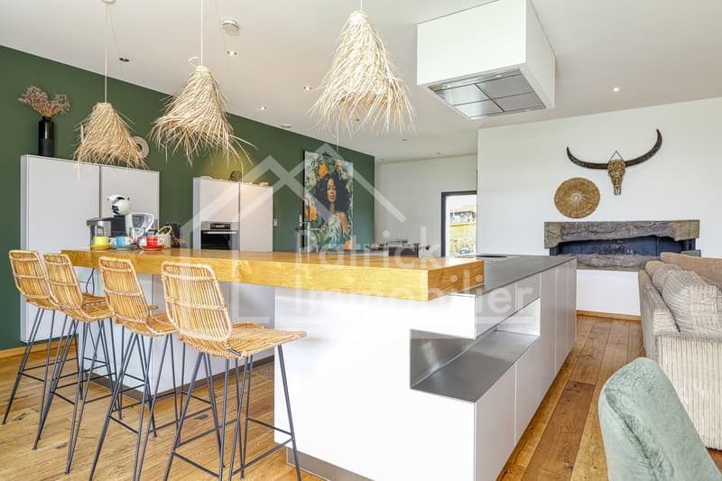 Villa contemporaine d'exception avec piscine et spa à deux pas du lac (10)