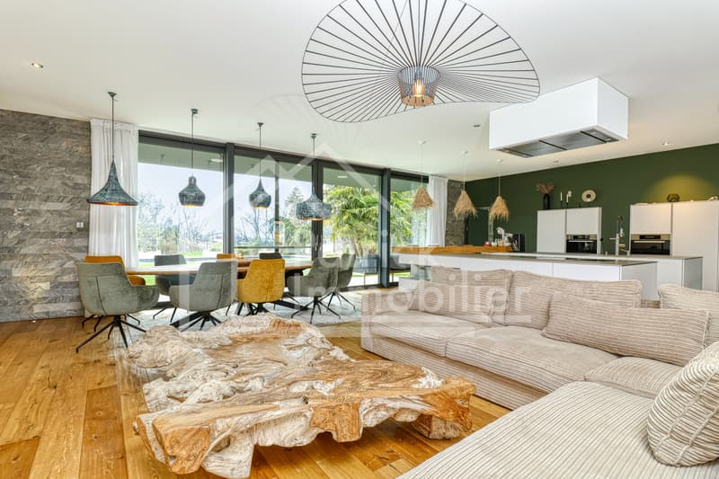 Villa contemporaine d'exception avec piscine et spa à deux pas du lac (6)