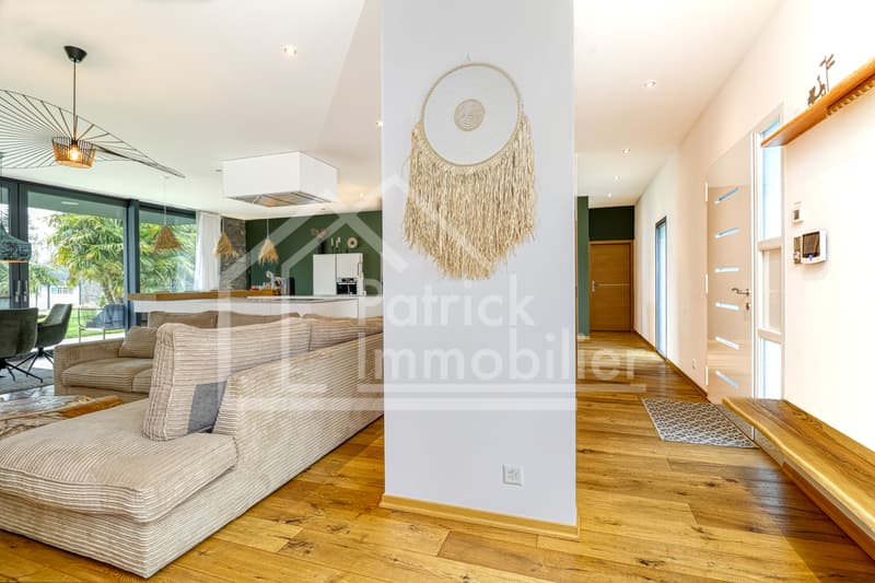 Villa contemporaine d'exception avec piscine et spa à deux pas du lac (5)