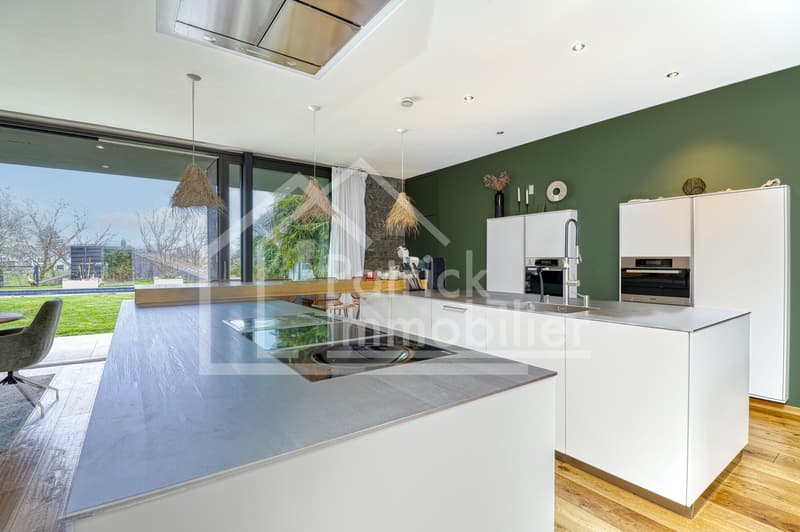 Villa contemporaine d'exception avec piscine et spa à deux pas du lac (7)